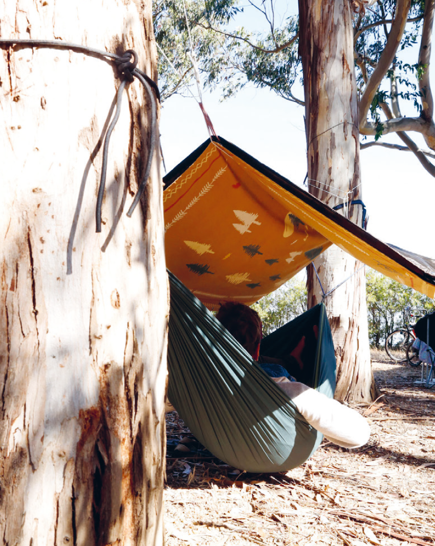 Campingdecke Wild & Free