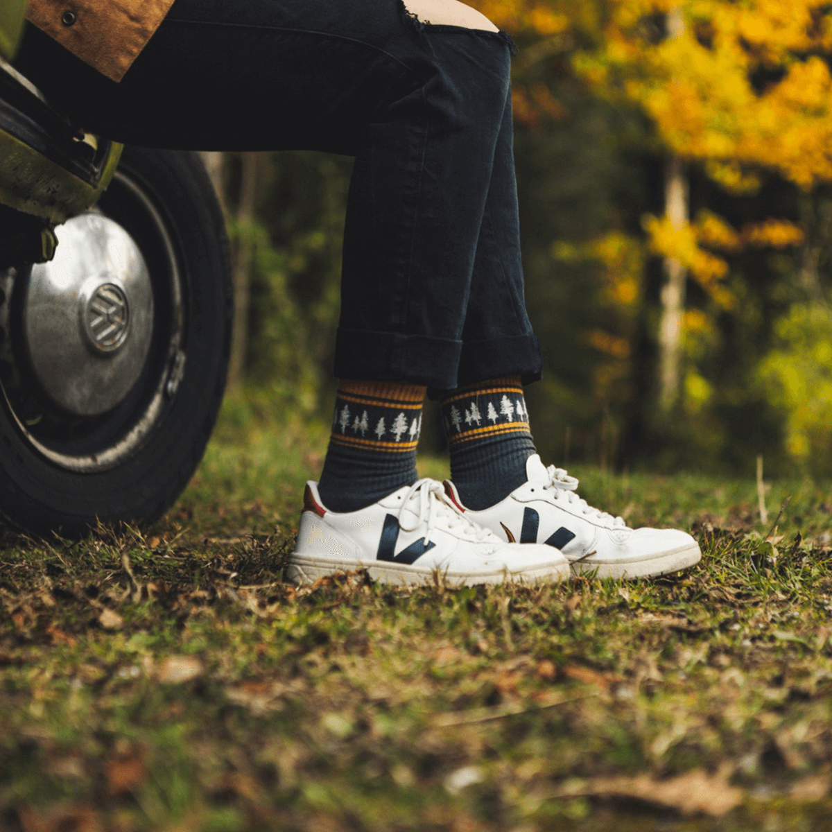 Chaussettes arbres